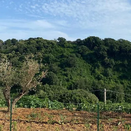 Donna Petronilla Southern House 3* Pianopoli